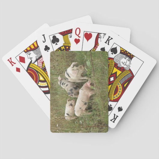 Pigs in Field Playing Cards Pokerkaarten (Achterkant)