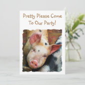 PIGS KAART (Staand voorkant)