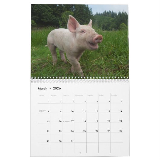Pigs Wall Calendar - Smile in 2018 Kalender (Mar 2026)