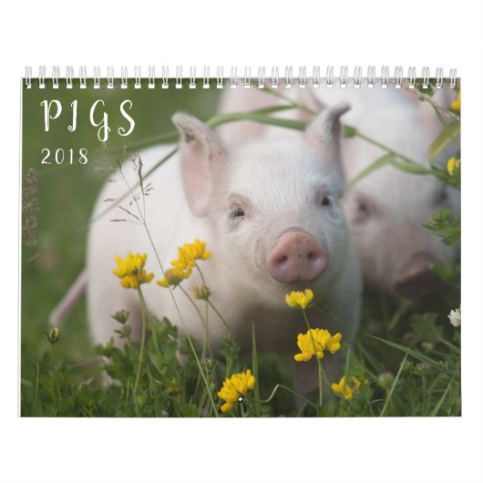 Pigs Wall Calendar - Smile in 2018 Kalender (Hoes)