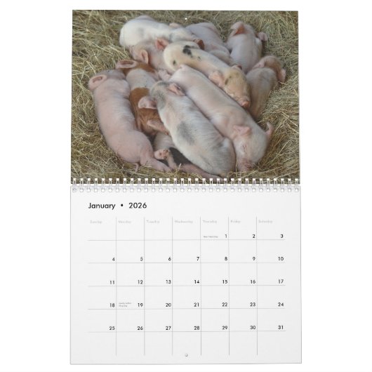 Pigs Wall Calendar - Smile in 2018 Kalender (Jan 2026)