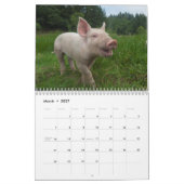 Pigs Wall Calendar - Smile in 2018 Kalender (Mar 2027)