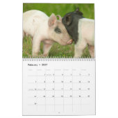 Pigs Wall Calendar - Smile in 2018 Kalender (Feb 2027)