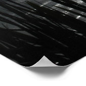 Piha, NZ, Fotografie door LMP Poster (Hoek)