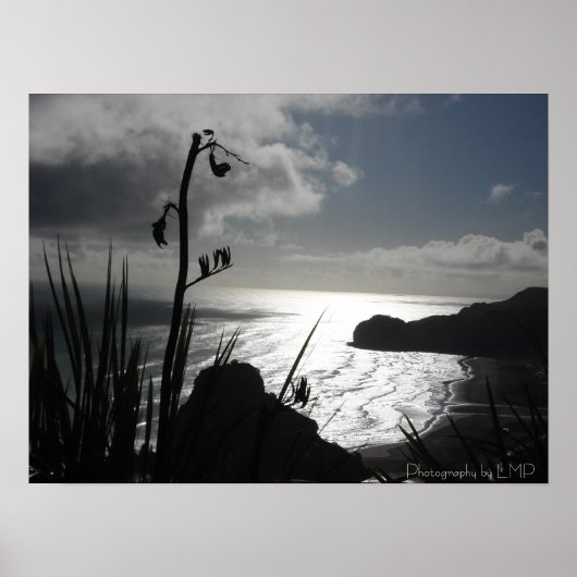 Piha, NZ, Fotografie door LMP Poster (Voorkant)