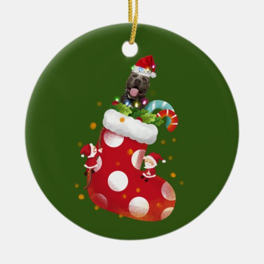 Piitbull With Socking Keramisch Ornament (Voorkant)