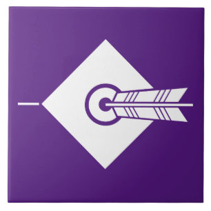 Pijl-doeldecoratieve tegels tegeltje