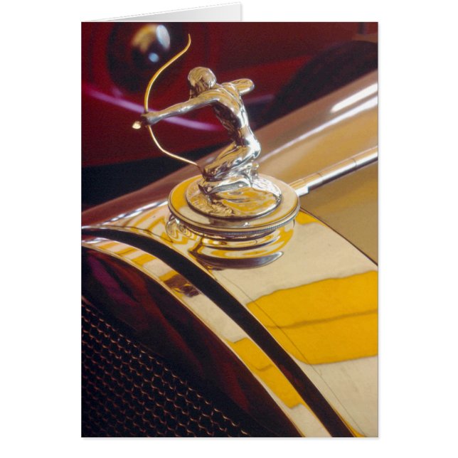 Pijl-pijlboogradiator versiering (Voorkant)