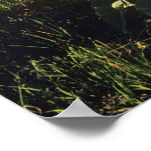 Pijlbalsemroot-wildbloemen in Waterton 2 Poster (Hoek)