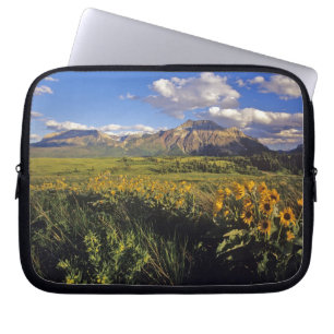 Pijlbalsemroot-wildbloemen in Waterton Laptop Sleeve