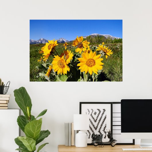 Pijlbladige Balsamroot Ingelijste Print (Thuiskantoor)