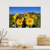 Pijlbladige Balsamroot Ingelijste Print (Keuken)
