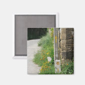 Pijlen en Shell Magnet (Voorkant / Achterkant)