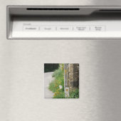 Pijlen en Shell Magnet (Insitu (Vaatwasser))