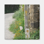 Pijlen en Shell Magnet (Voorkant)