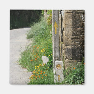 Pijlen en Shell Magnet