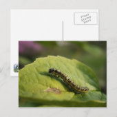 pijler briefkaart (Voorkant / Achterkant)