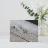 pijler briefkaart (Staand voorkant)