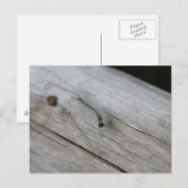 pijler briefkaart (Voorkant / Achterkant)