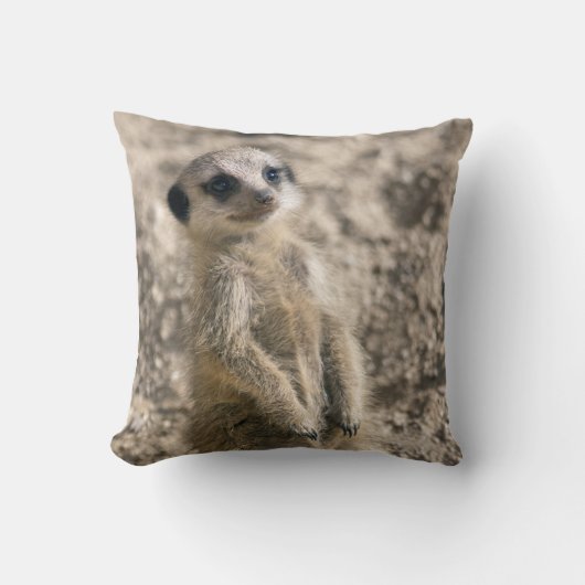 Pijler met instapmodel kussen (Voorkant)