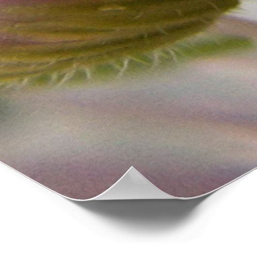 pijler poster (Hoek)