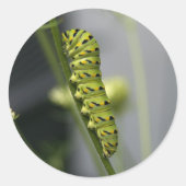 pijler ronde sticker (Voorkant)