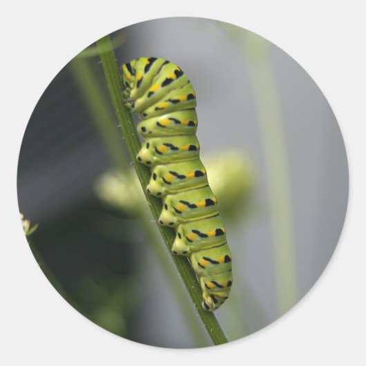 pijler ronde sticker (Voorkant)