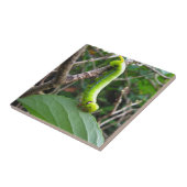 pijler tegeltje (Zijkant)