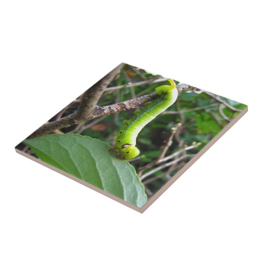 pijler tegeltje (Zijkant)