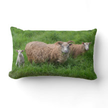 Pijler van de schapenfamilie