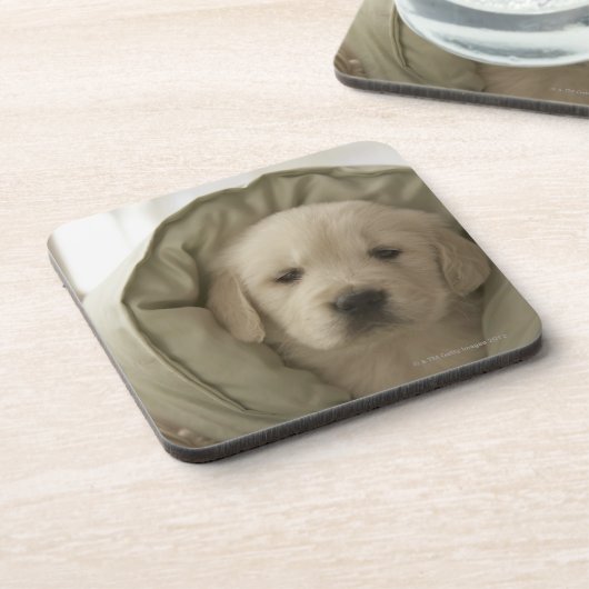 Pijlhond Bier Onderzetter (Linkerzijde)