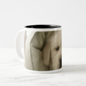Pijlhond Tweekleurige Koffiemok (Voorkant links)