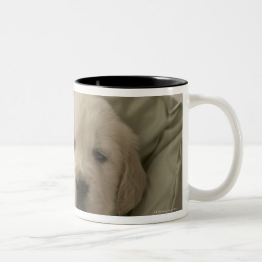 Pijlhond Tweekleurige Koffiemok (Rechts)