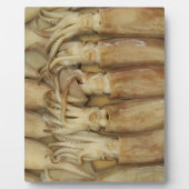 Pijlinktvis - Calamari Fotoplaat (Voorkant)