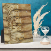 Pijlinktvis - Calamari Fotoplaat (Zijkant)