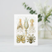 Pijlinktvis en octopus briefkaart (Staand voorkant)