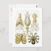 Pijlinktvis en octopus briefkaart (Voorkant / Achterkant)