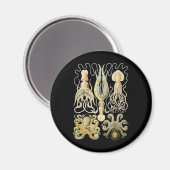 Pijlinktvis en octopus magneet (Voorkant / Achterkant)