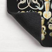 Pijlinktvis en octopus muismat (Hoek)