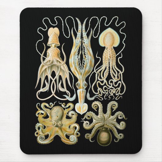 Pijlinktvis en octopus muismat (Voorkant)