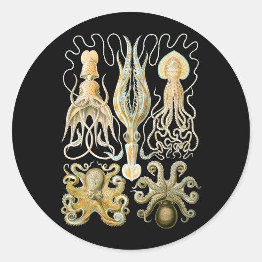 Pijlinktvis en octopus ronde sticker (Voorkant)