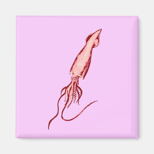 pijlinktvis magneet (Voorkant)