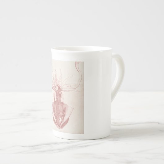 pijlinktvis  nautisch porselein kop (Voorkant rechts)