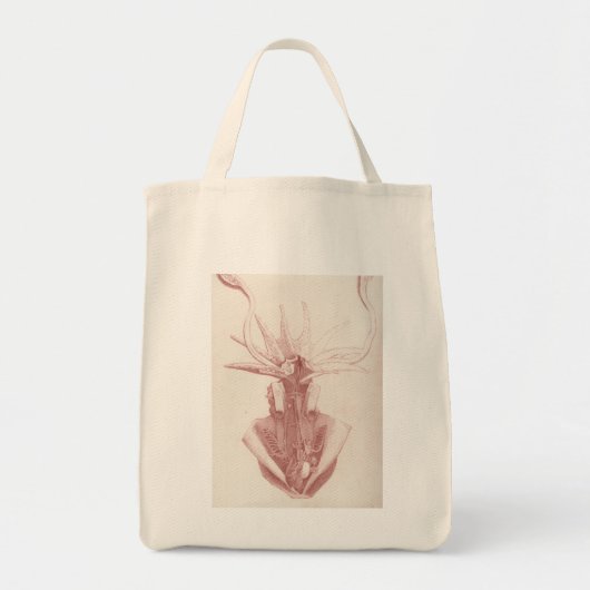 pijlinktvis nautisch tote bag (Voorkant)