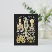 Pijlinktvis & Octopus Briefkaart (Staand voorkant)