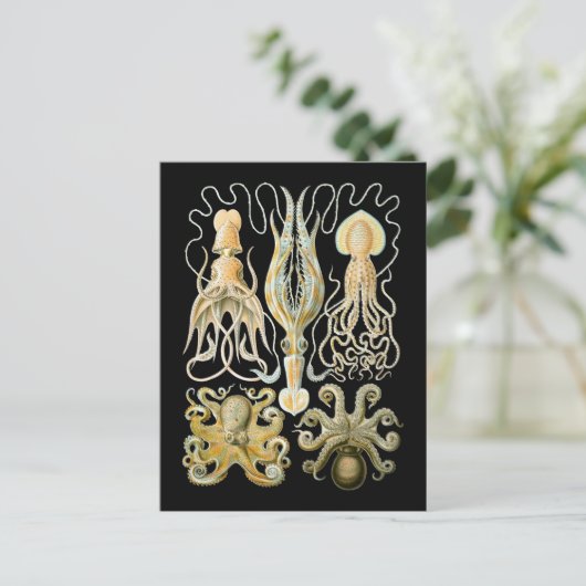 Pijlinktvis & Octopus Briefkaart (Staand voorkant)