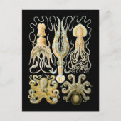 Pijlinktvis & Octopus Briefkaart (Voorkant)