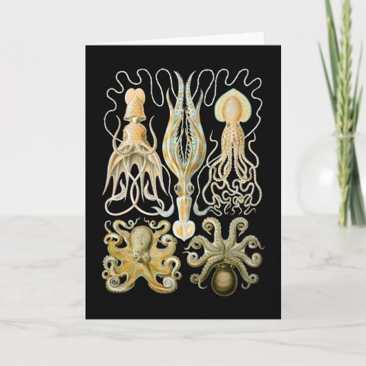 Pijlinktvis & Octopus Kaart (Voorkant)