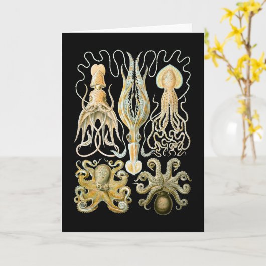 Pijlinktvis & Octopus Kaart (Gele Bloem)