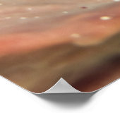 Pijlkrabben in een Barrel Spons Poster (Hoek)